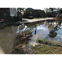 Day after the king tide Virginia Beach image